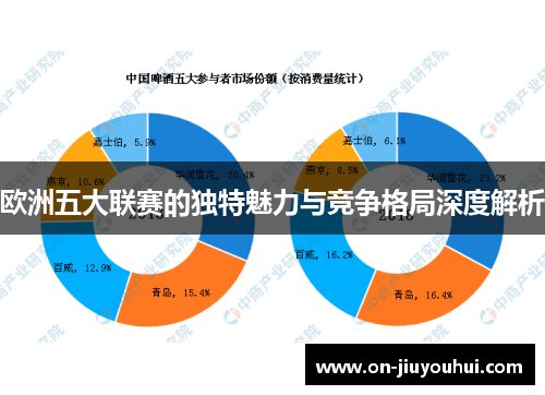 欧洲五大联赛的独特魅力与竞争格局深度解析